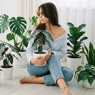 Мир Молли Грин