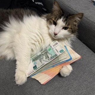 ПРОДАЖА АККАУНТОВ | АККАУНТЫ