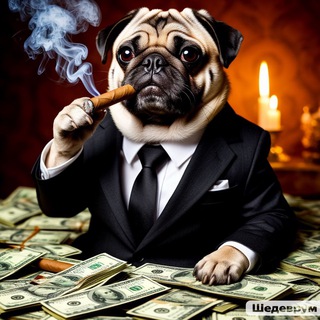 КриптоМопс🐶