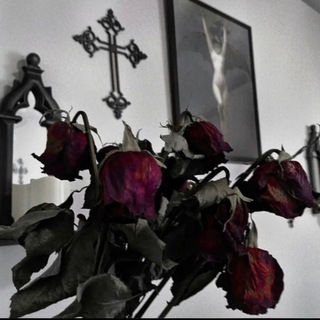 𖦹。MØРФŃН 𖦹[АРХИВ. ПЕРЕЕЗД]