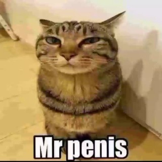 какашко паблик