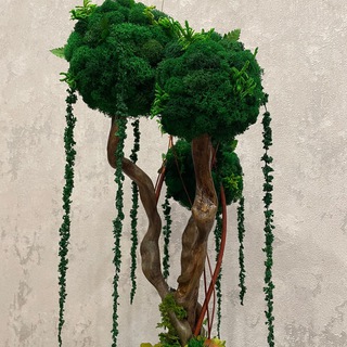 Подарки и декор из мха стабилизированного