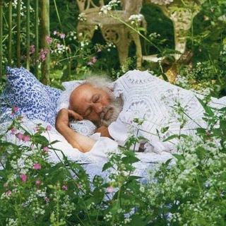 Сон гусеницы