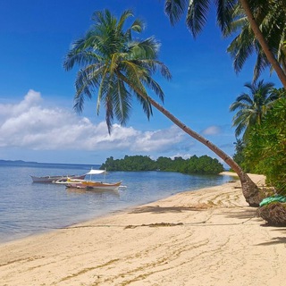 Music without borders