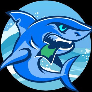 Музыка в Машины,И фото