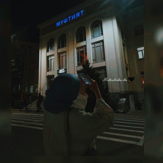 طالب المعرفة