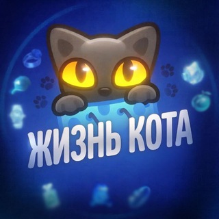 жизнь ᴋоᴛᴀ