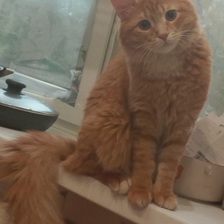 Мурочка и Админы🎀