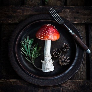 🍄🌾☘️Мухомор&Кудесник🌼🌻🏵