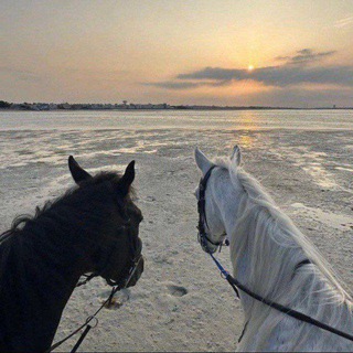 𝗡𝗔𝗠𝗖𝗛𝗜𝗟 Музыка