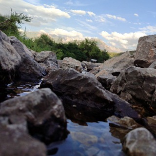 ЛЕЧЕБНЫЕ ТРАВЫ🌿🌱🍃