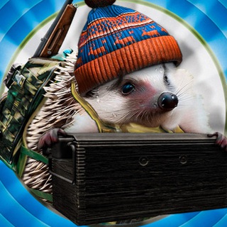 НОРА СБЭУ ЕЖА