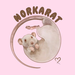 NORKARAT