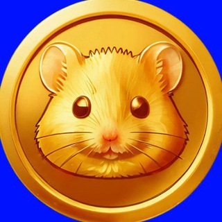Hamster Kombat КОМБО-ШИФР🐹