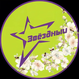 МЦ ЗвЁздный