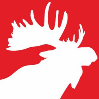 BRAND ОДЕЖДЫ NashLosь