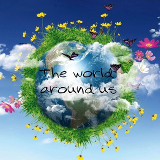 Мир вокруг нас