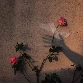 Странник🥀