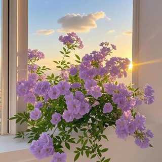 Зелёная эстетика 🌱