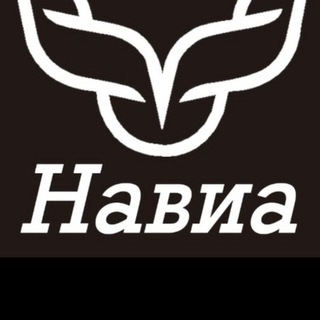 Навиа Перетяжка салона / Бронирование / Детейлинг
