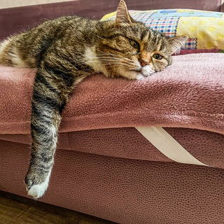 Не с места событий