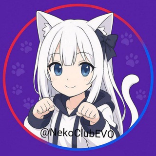 Клуб Neko | MineEVO
