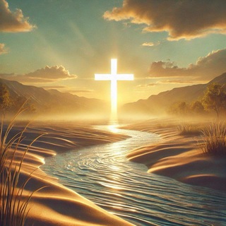 метанойя° | путь перемен