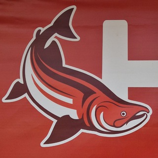 Дикий лосось🐬