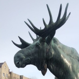 Новости Гусев LIVE