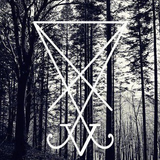 Тёмное отражение