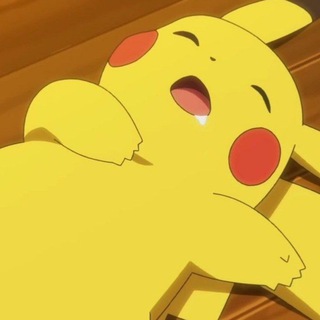 ɴɪᴋᴀᴄʜᴜ sʜᴏᴘ