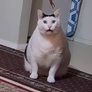 Канал Гения