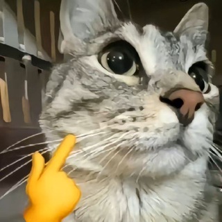 ℕ𝕟𝕔𝕙𝕚𝕜 UGC LimitedS 🔥Лимитки роблокс🔥