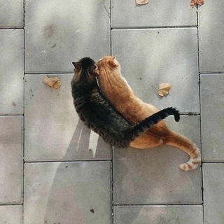 Не интересные новости ️