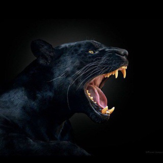 2026года музыка в машину с басами