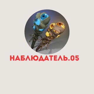 Наблюдатель.05