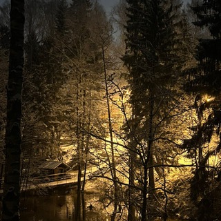 одержимость.