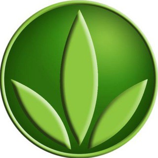 Измени свою жизнь: мечтай и богатей!