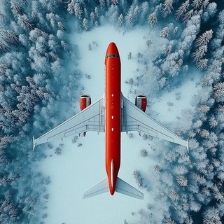 ВНЖ в Европе. Сервис Stella Polare