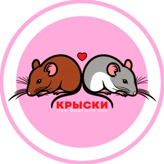 Крыски 🐀