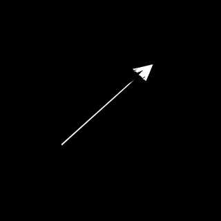 Последний выстрел в темноту