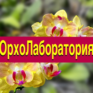 Орхо Лаборатория🌸