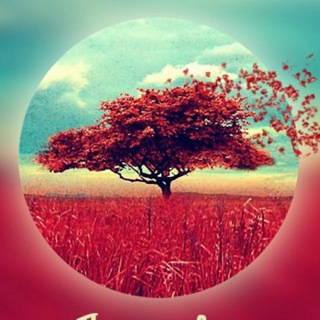 Эзотерика Саморазвитие Психология Цитаты Для души Афоризмы Высказывания Мысли