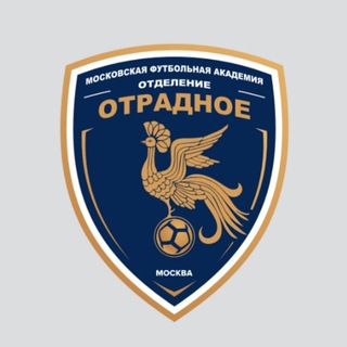 МФА ,,Отрадное'' 2012 г.