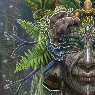 🌘Ответ Шаманки🌒