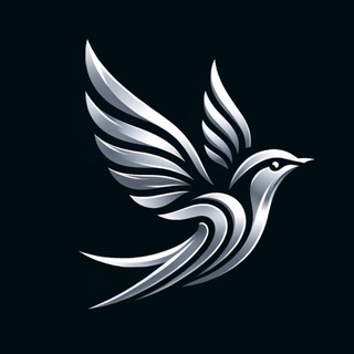 Outline | Бесплатные ключи VPN | Vless