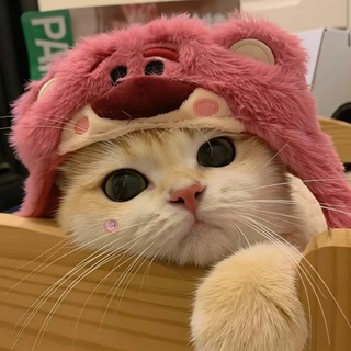 Общᴇниᴇ | ᴨиᴀᴩ ᴦᴩуᴨᴨ и ᴋᴀнᴀᴧᴏʙ