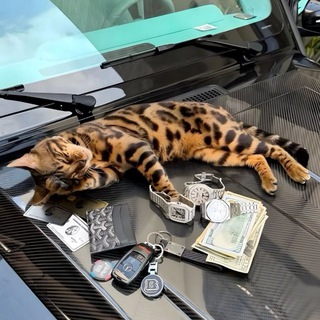 PIAR_FORTIK | ᴨиᴀᴩ ᴦᴩуᴨᴨ и ᴋᴀнᴀᴧᴏʙ