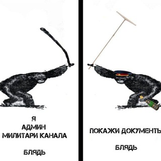 Чешир таежный и дело о еловых мандаринах