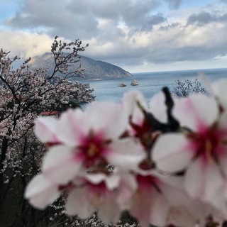 PROmindal О жизни и доходных усадьбах в Крыму